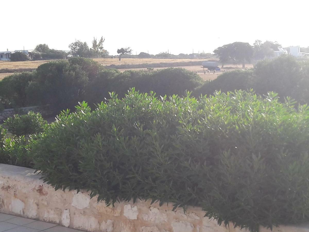 La Maison D'Helene Naoussa Exterior foto